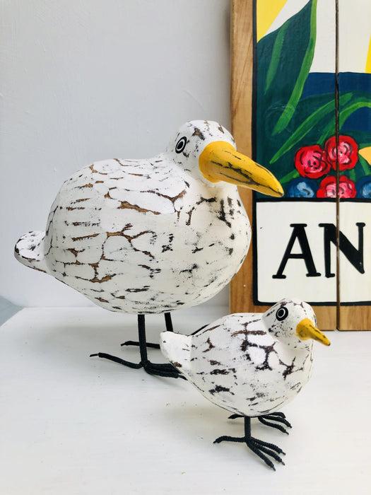 display view of baby and fat seagull.