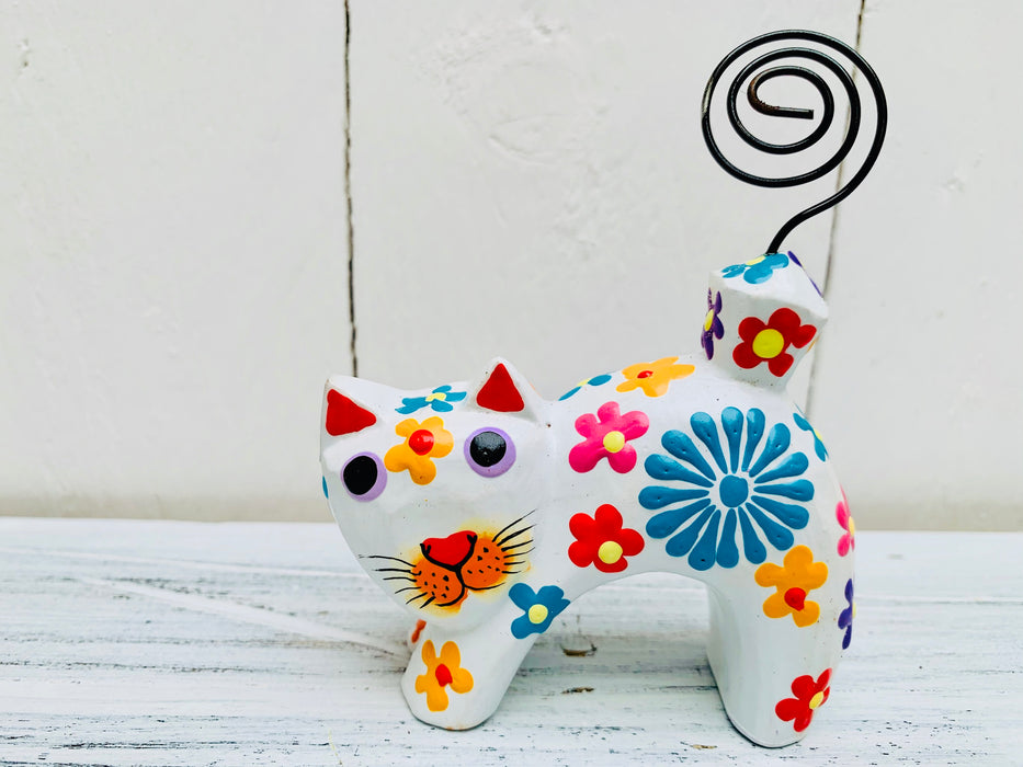front of cat