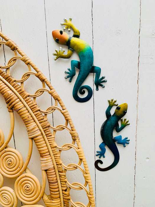 display wall view of metal rainbow geckos