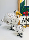 display view of small and large seagulls.