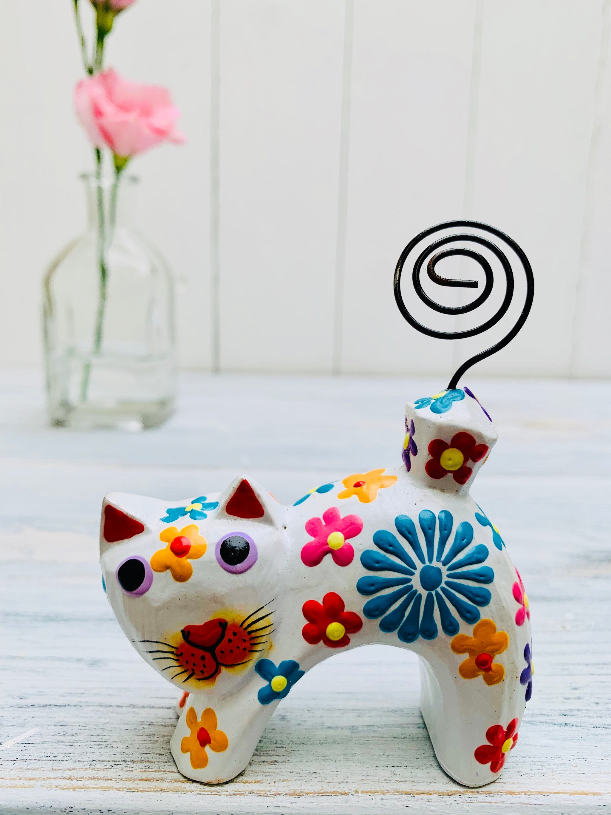 front view of floral cat