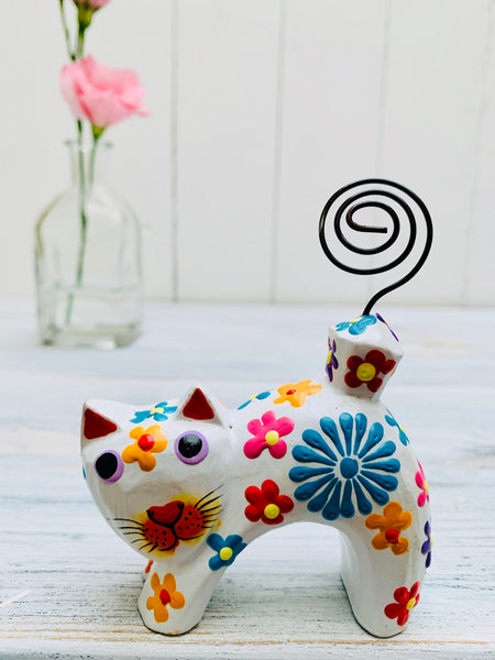 front view of floral cat