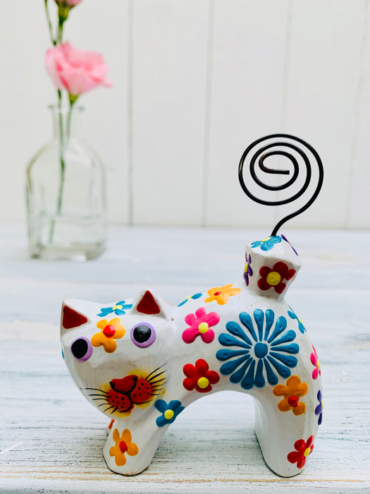 front view of floral cat