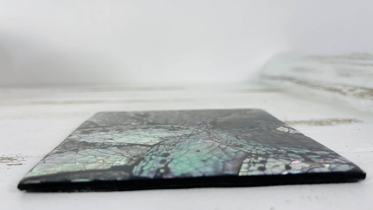 Single Shell Coaster  - Black Flower