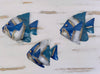 aerial set view of 3 banner fish in blue