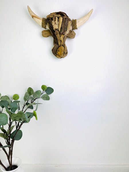 display view of driftwood bull head
