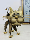 front view of fluffy kitty