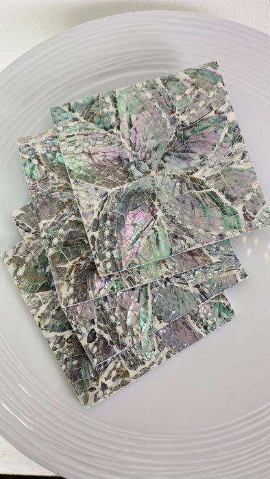 Single Shell Coaster  - White  & Paua Flower