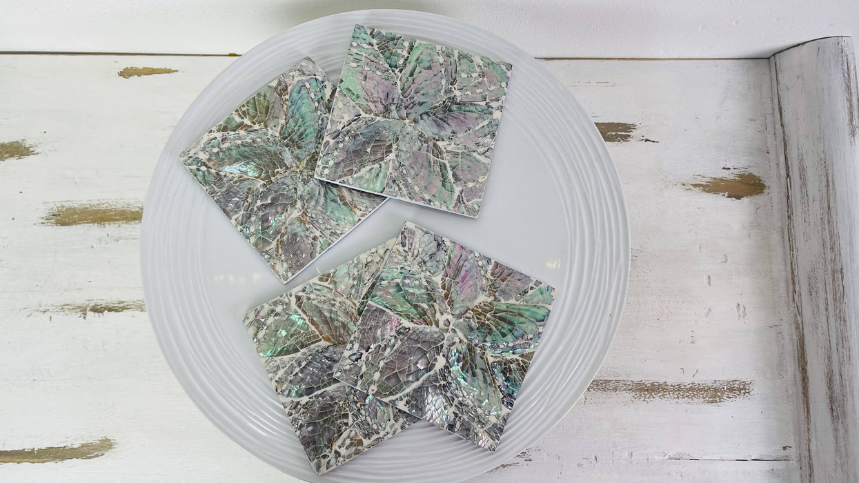 Single Shell Coaster  - White  & Paua Flower