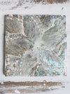 A single square shell coaster with a mix of white and paua flower patterns placed on a wooden surface.