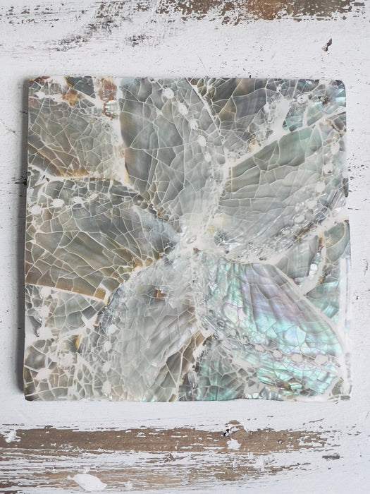 A single square shell coaster with a mix of white and paua flower patterns placed on a wooden surface.